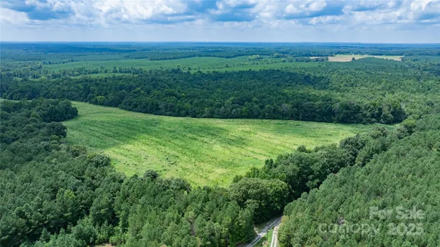 a view of a big yard with lots of green space and mountain view in back