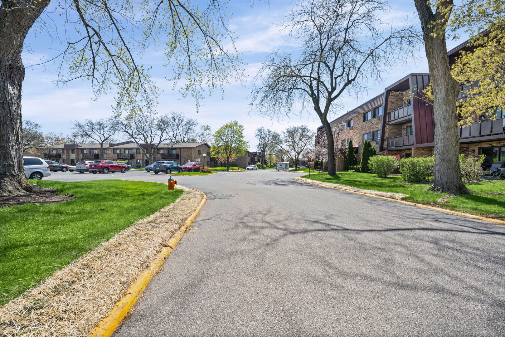 1205 East Hintz Road, Unit 209 Arlington Heights, IL 60004 - Photo 24 of 27 a view of a street with a building and trees in the background