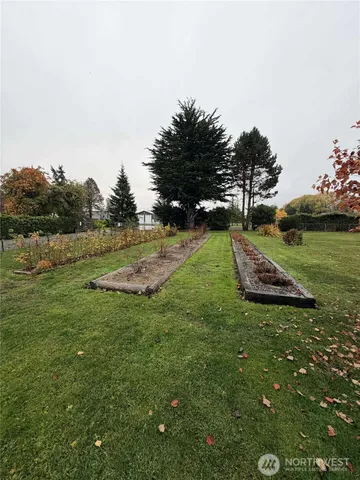 a view of a park with large trees