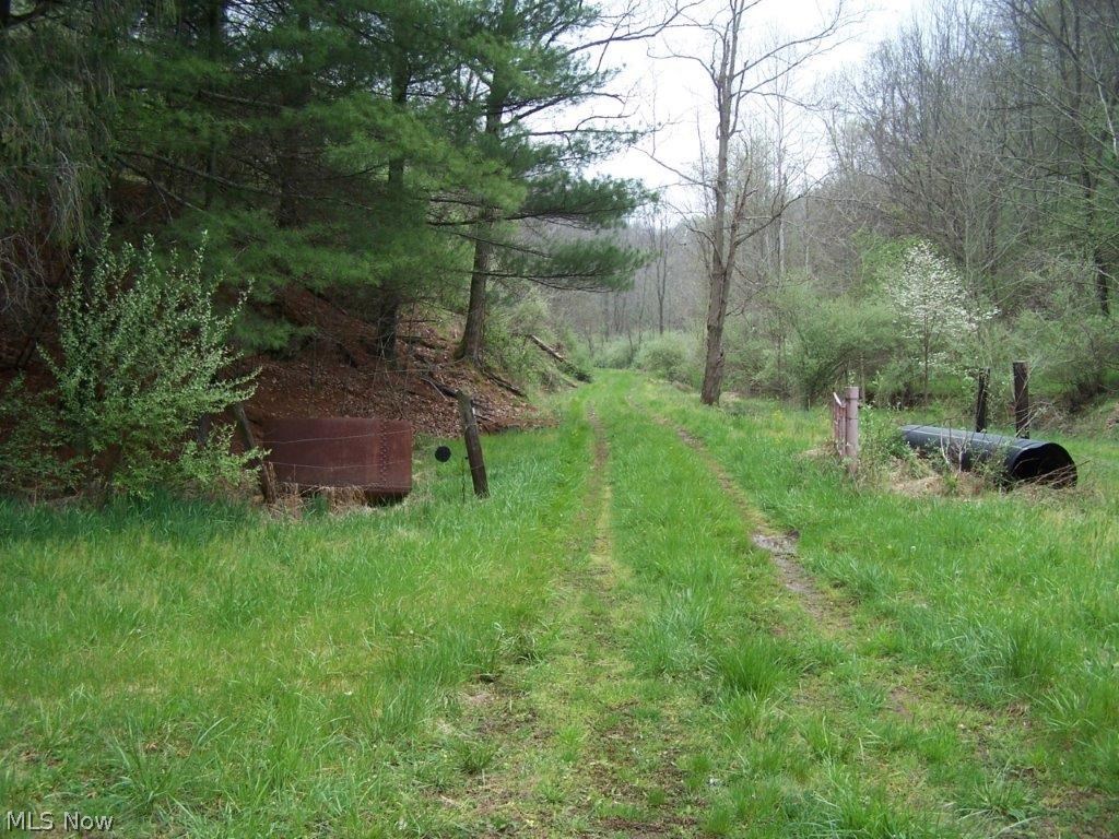 276 Scaffold Run Road Spencer, WV 25276 - Photo 7 of 7