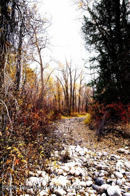 1714 Headwall Loop Driggs, ID 83422 - Photo 11 of 17 003