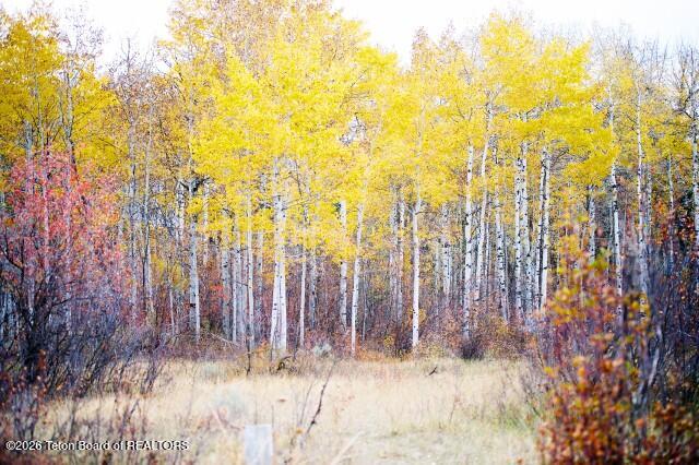 1714 Headwall Loop Driggs, ID 83422 - Photo 13 of 17 006