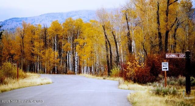 1714 Headwall Loop Driggs, ID 83422 - Photo 16 of 17 Headwall