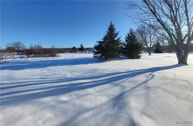 $170,000 | 8294 Swamp Road, East Otto, NY 14729