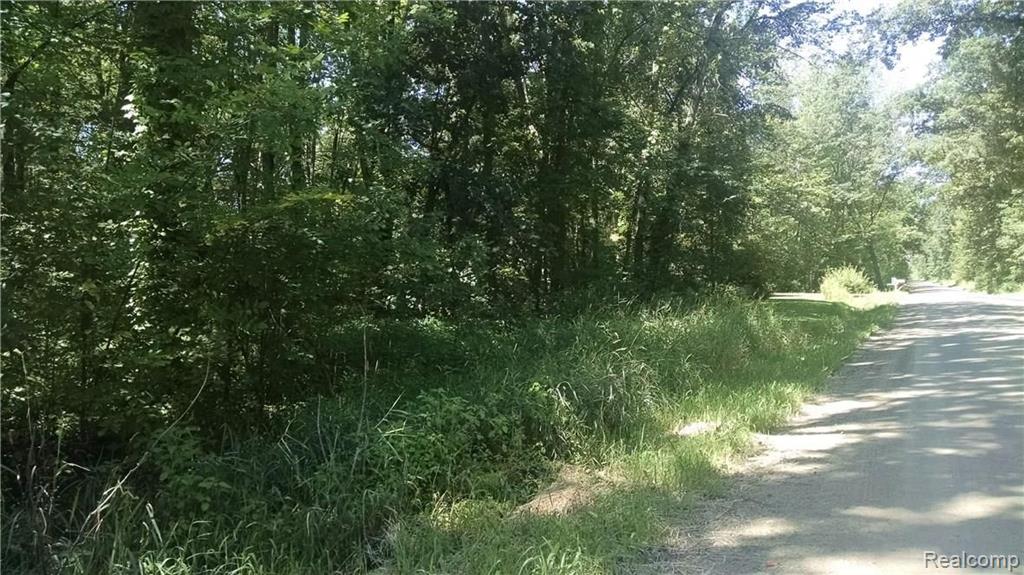 0 Coon Lake Road Fowlerville, MI 48836 - Photo 3 of 7