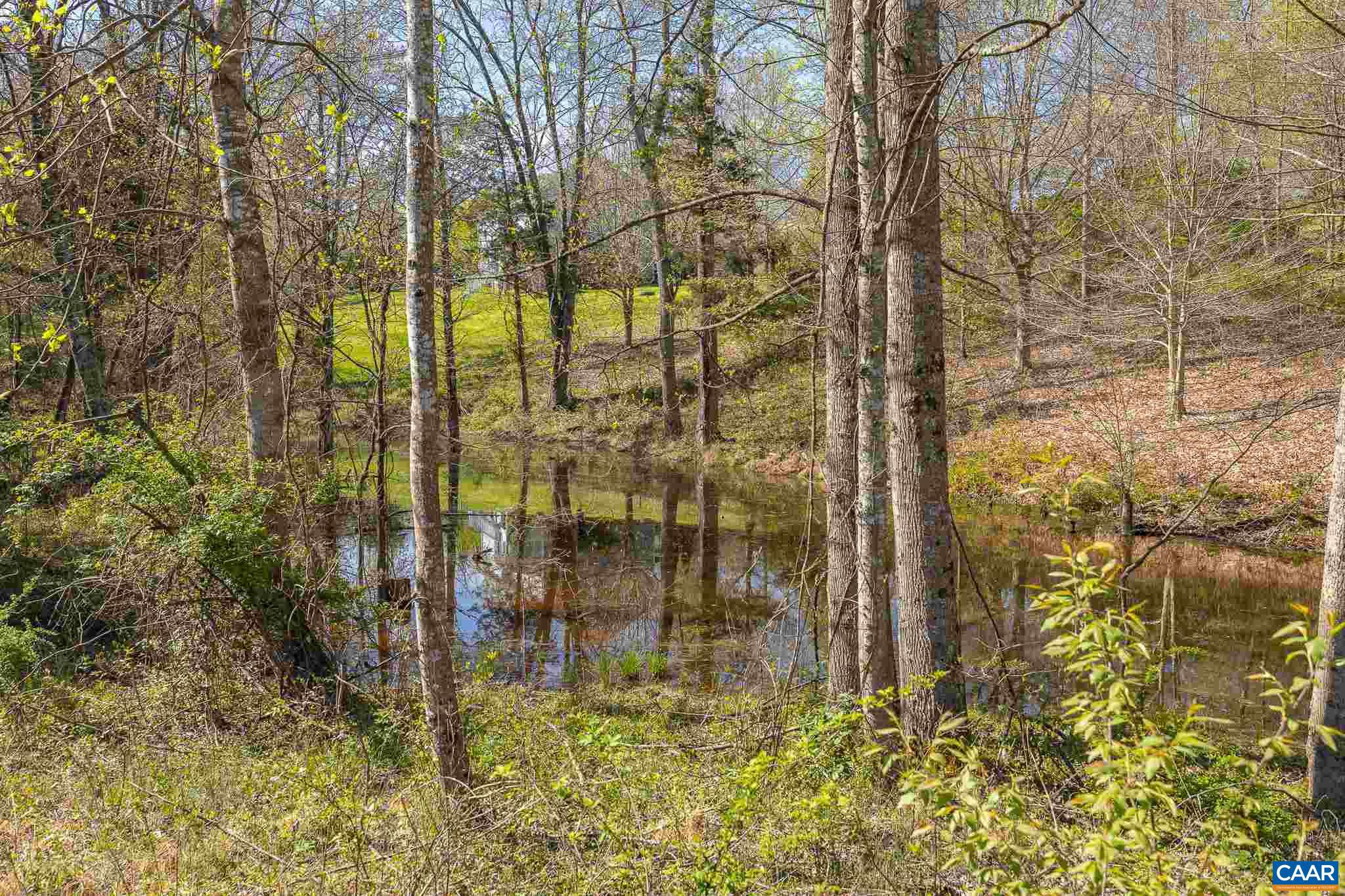 1812 Campbell Road Keswick, VA 22947 - Photo 35 of 35