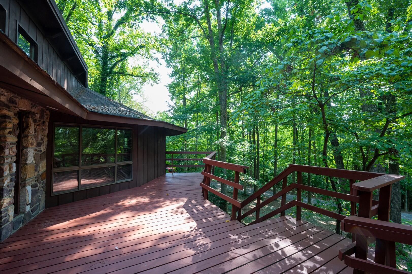 890 Moody Road Fall Branch, TN 37656 - Photo 29 of 89 Moody-27