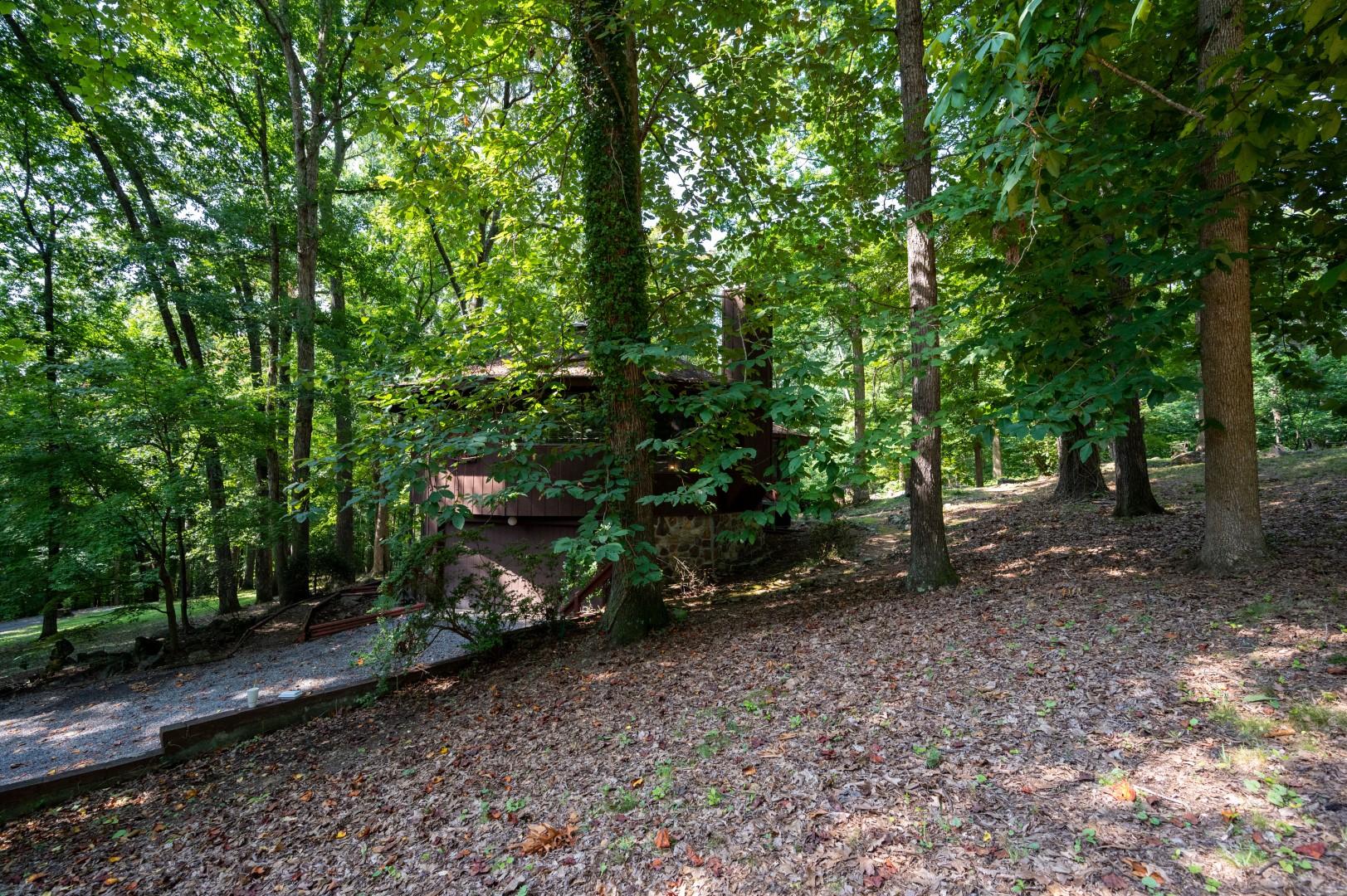 890 Moody Road Fall Branch, TN 37656 - Photo 47 of 89 Moody-45