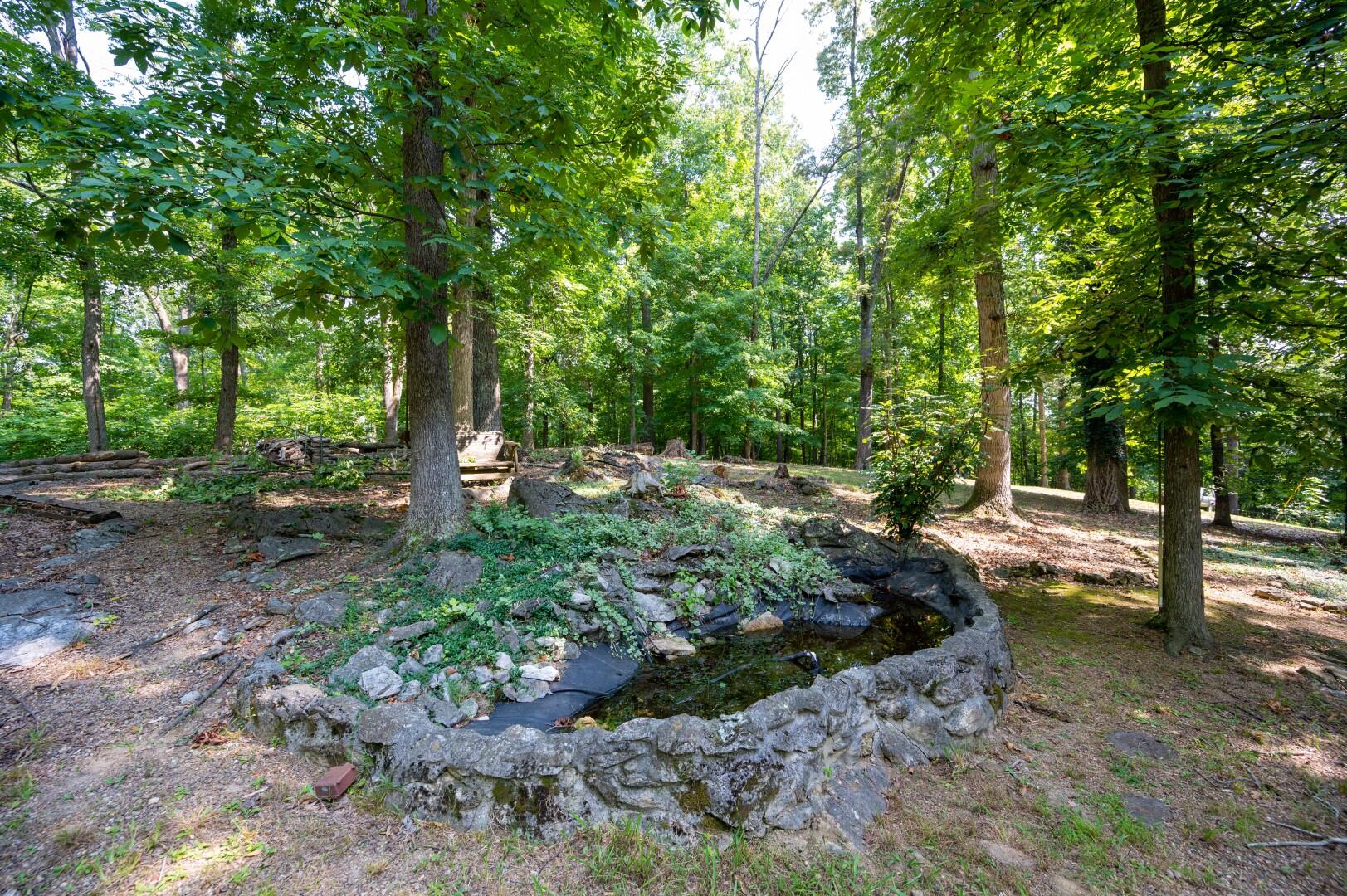 890 Moody Road Fall Branch, TN 37656 - Photo 52 of 89 Moody-50