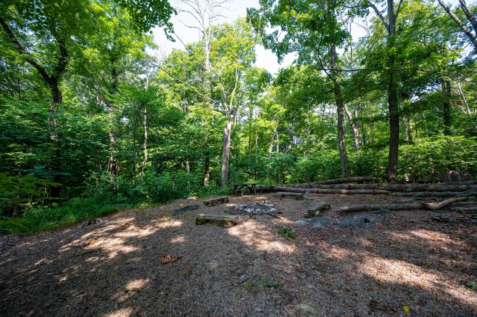 890 Moody Road Fall Branch, TN 37656 - Photo 55 of 89 Moody-53