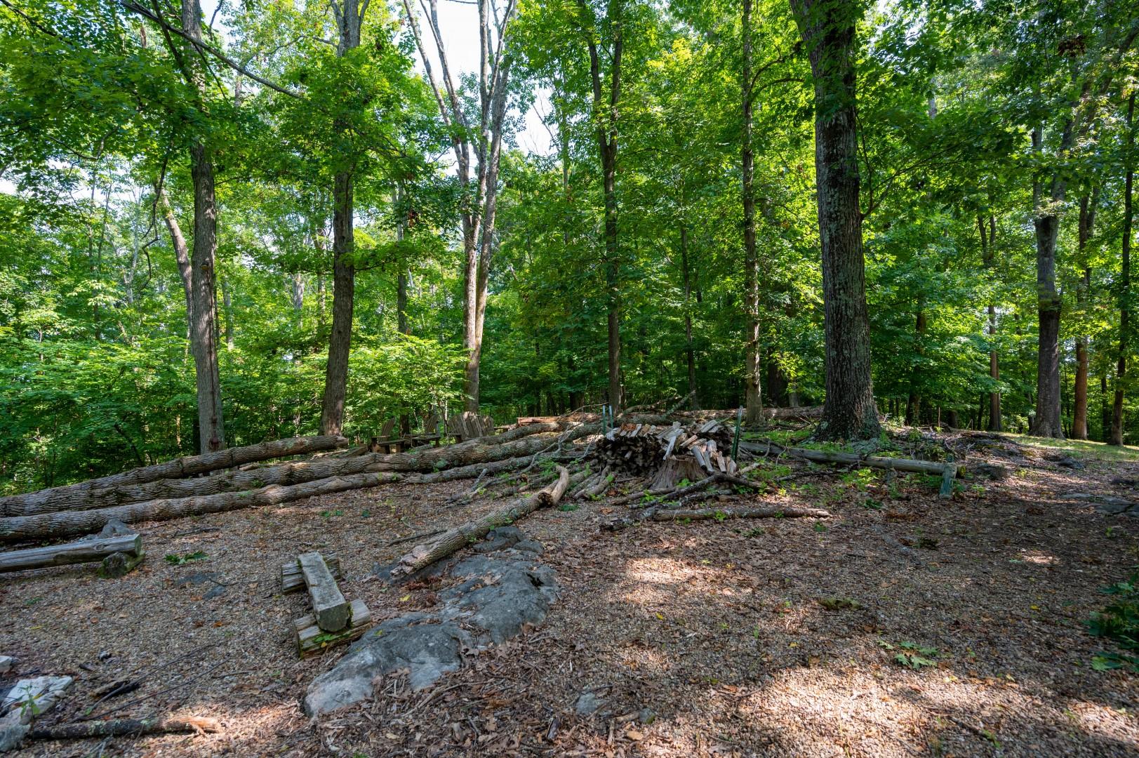 890 Moody Road Fall Branch, TN 37656 - Photo 56 of 89 Moody-54