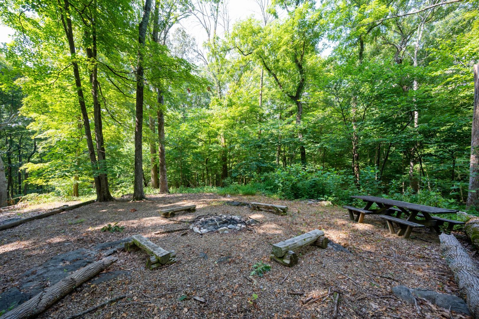 890 Moody Road Fall Branch, TN 37656 - Photo 57 of 89 Moody-55