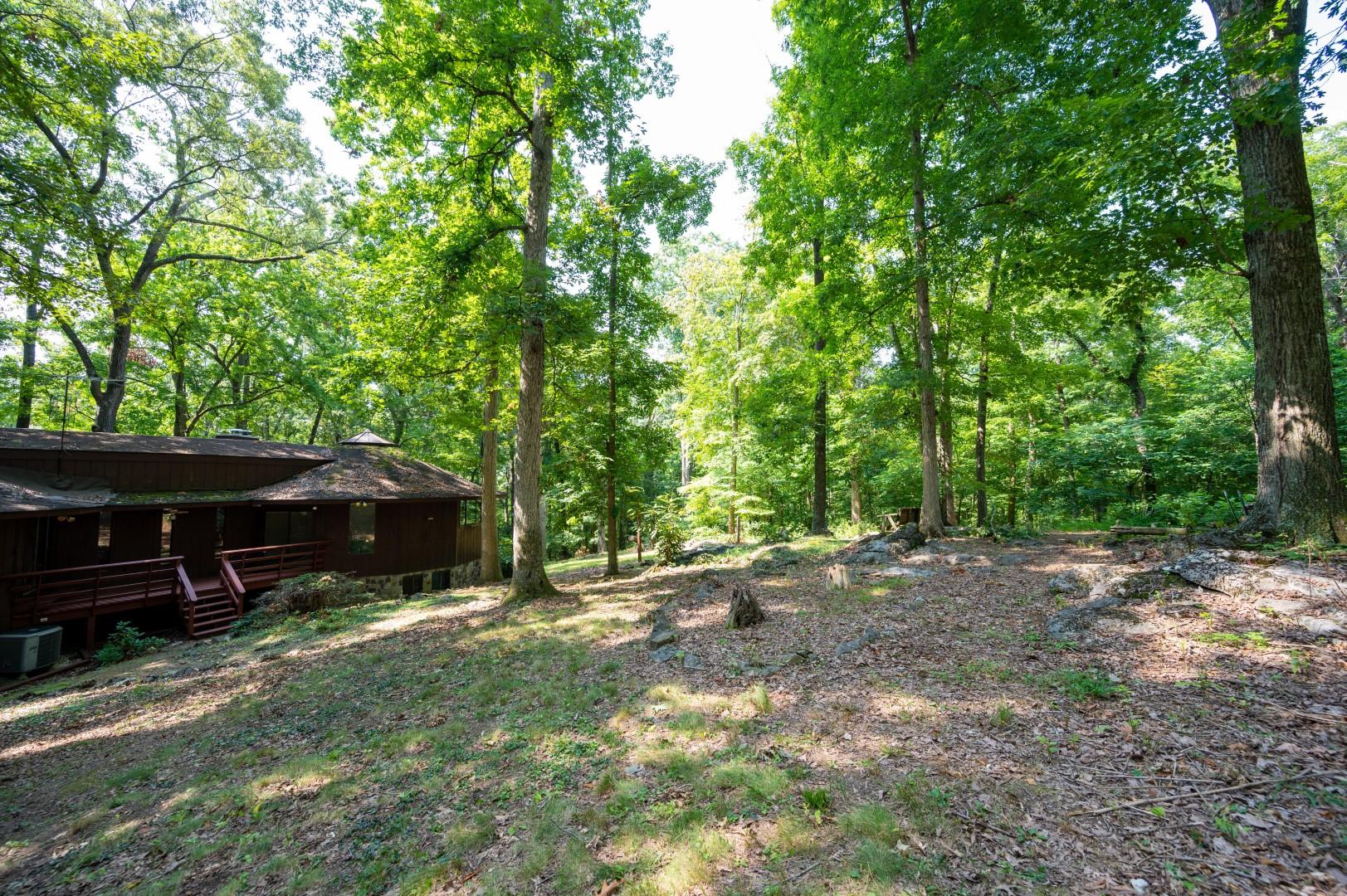 890 Moody Road Fall Branch, TN 37656 - Photo 59 of 89 Moody-57