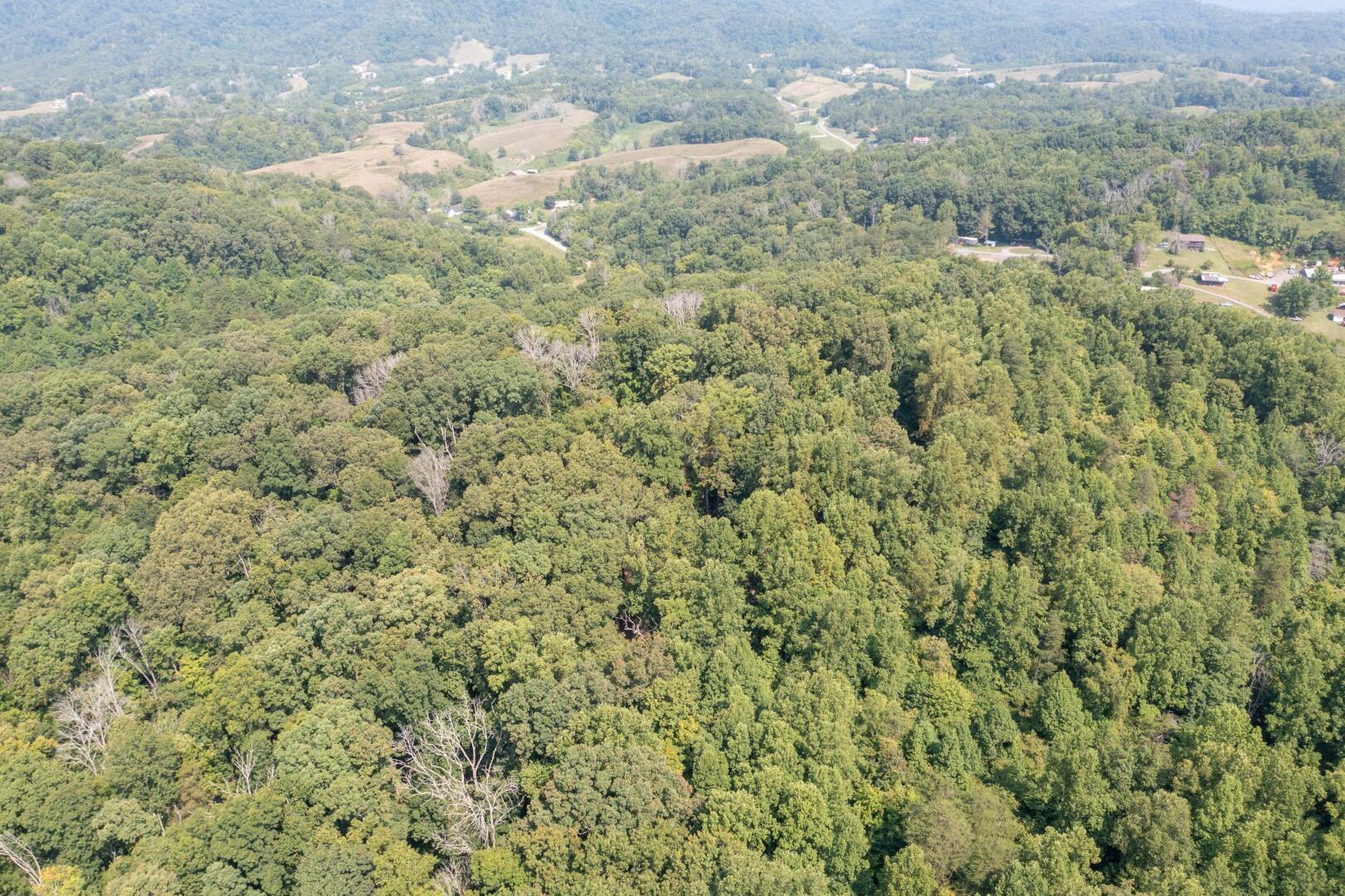 890 Moody Road Fall Branch, TN 37656 - Photo 65 of 89 Moody-63