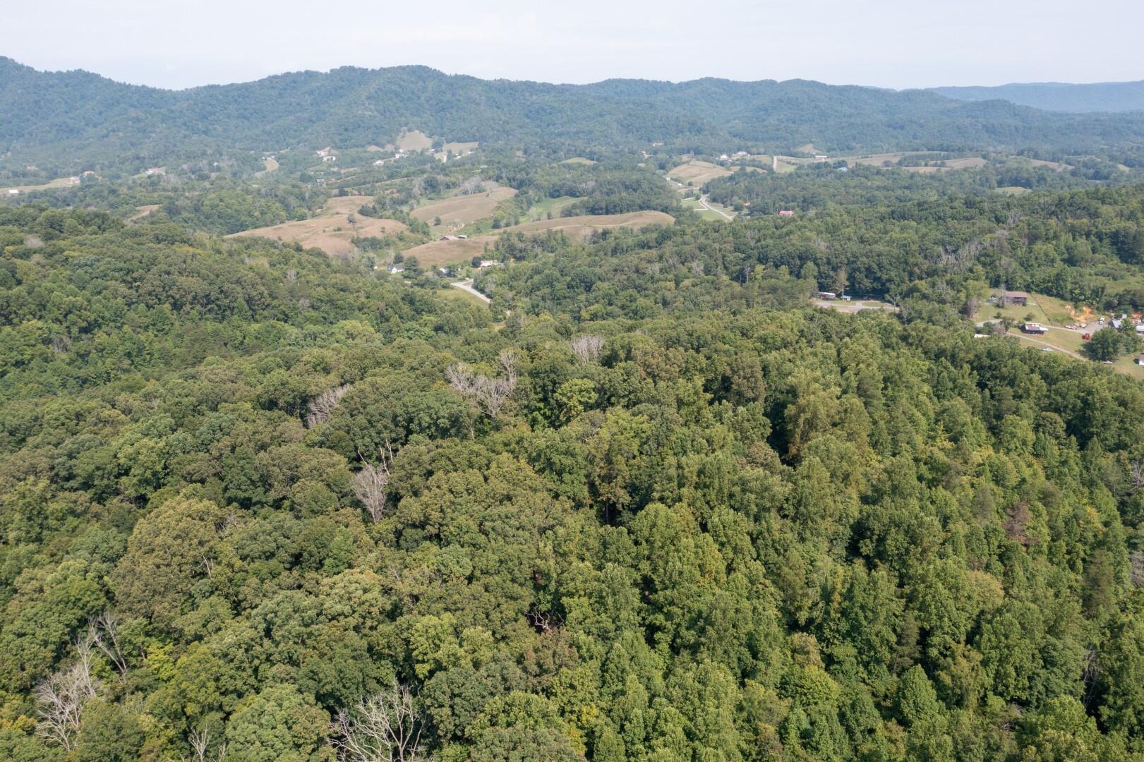 890 Moody Road Fall Branch, TN 37656 - Photo 66 of 89 Moody-64