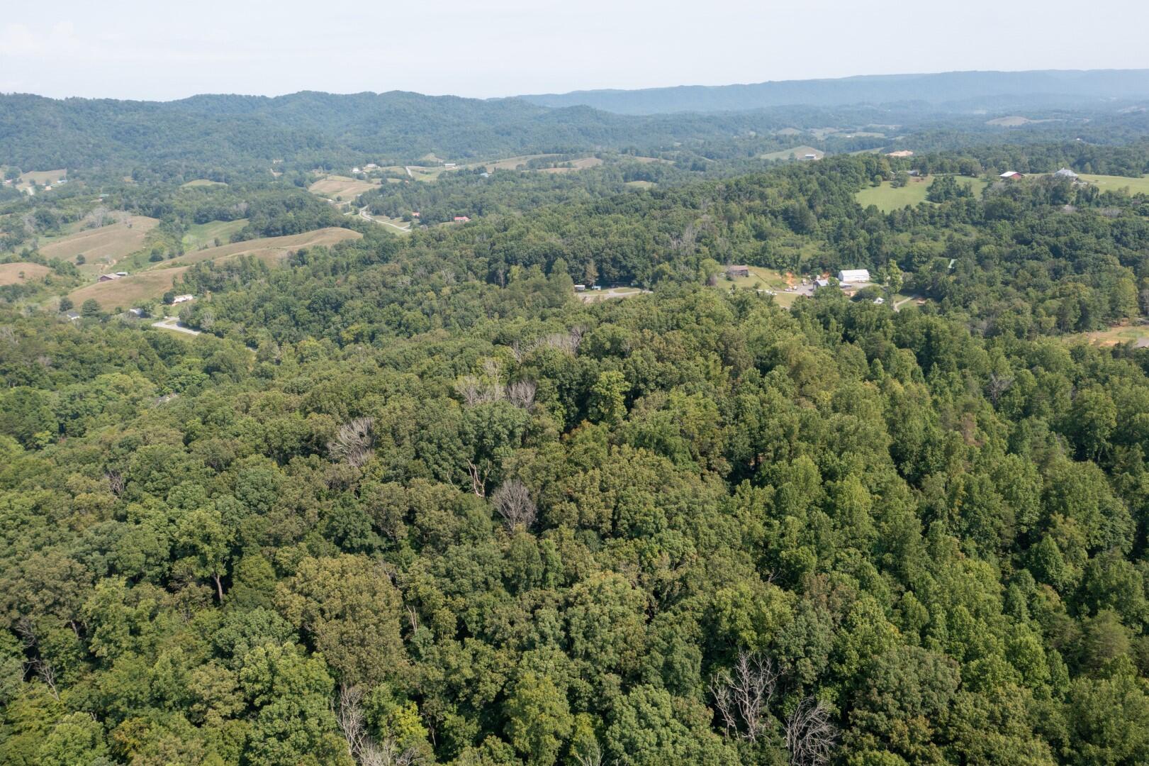 890 Moody Road Fall Branch, TN 37656 - Photo 67 of 89 Moody-65