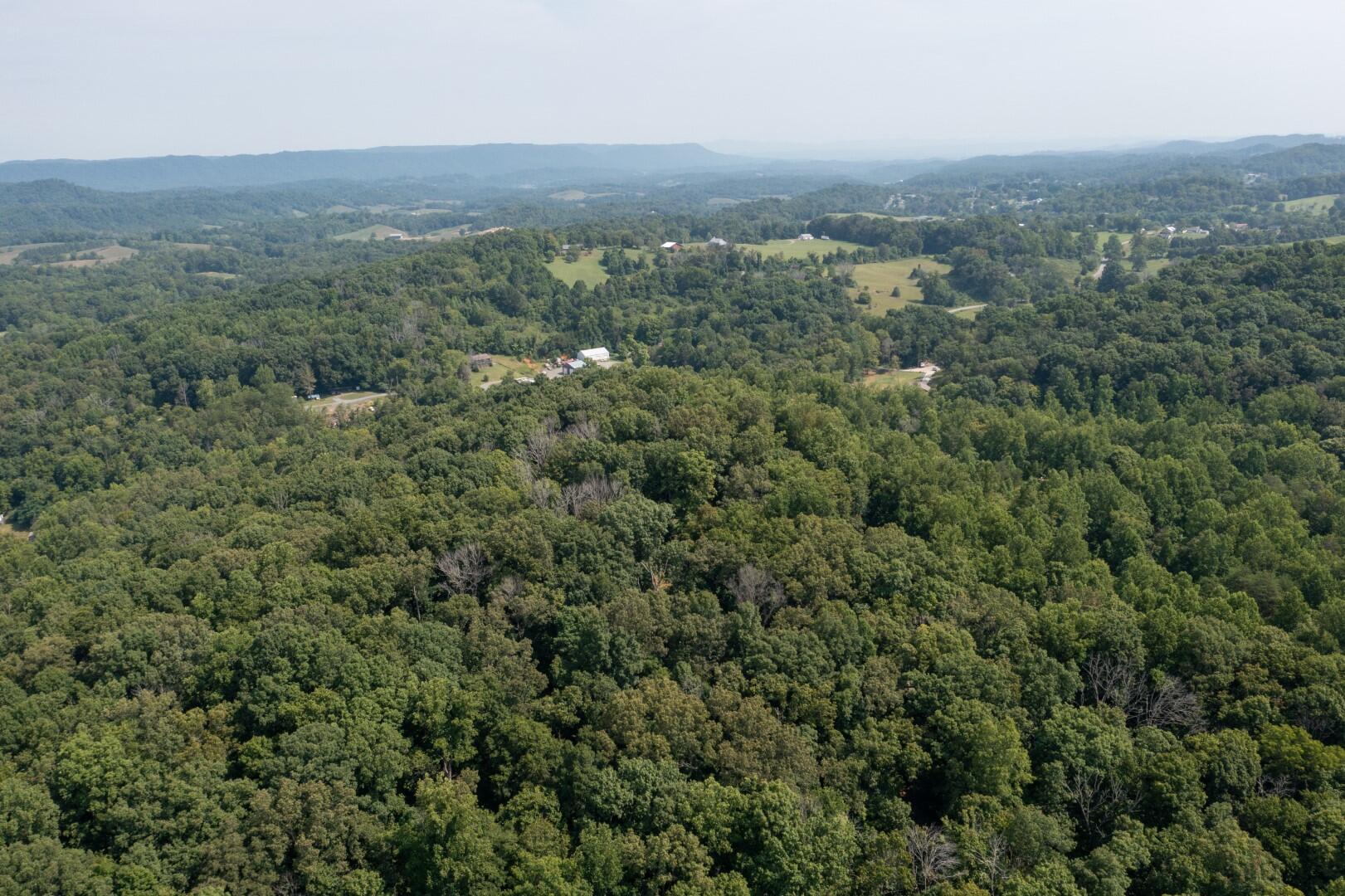 890 Moody Road Fall Branch, TN 37656 - Photo 68 of 89 Moody-66