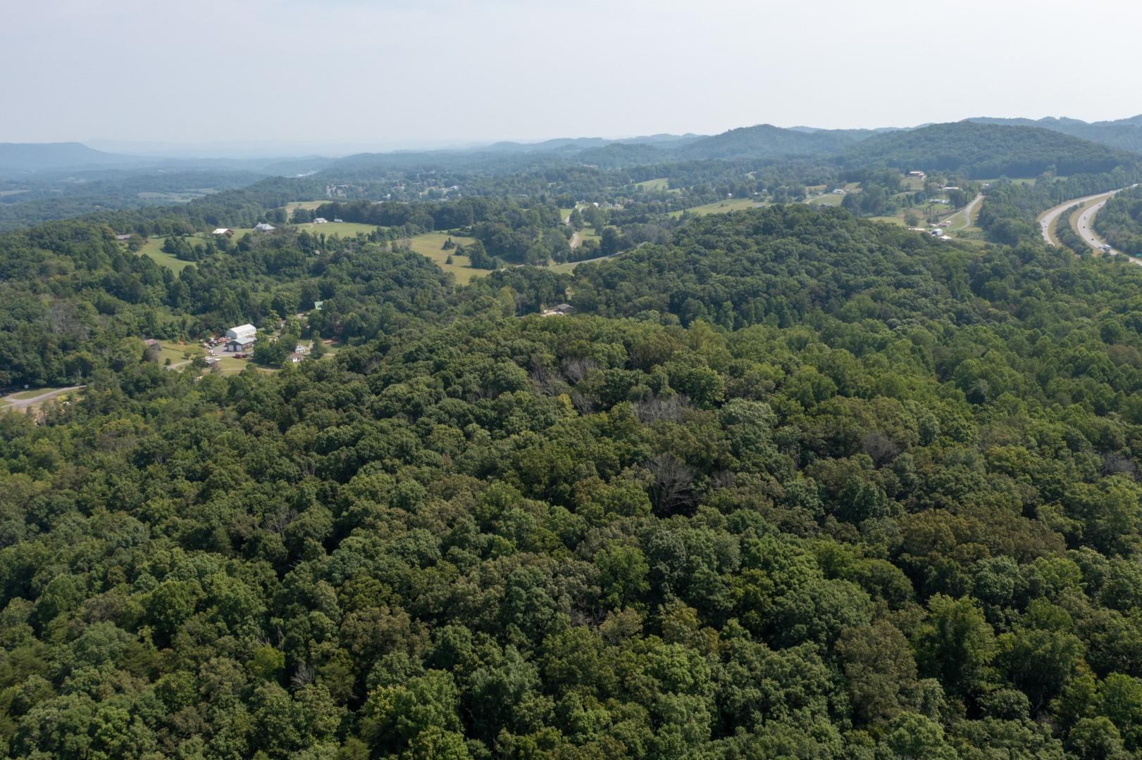 890 Moody Road Fall Branch, TN 37656 - Photo 69 of 89 Moody-67