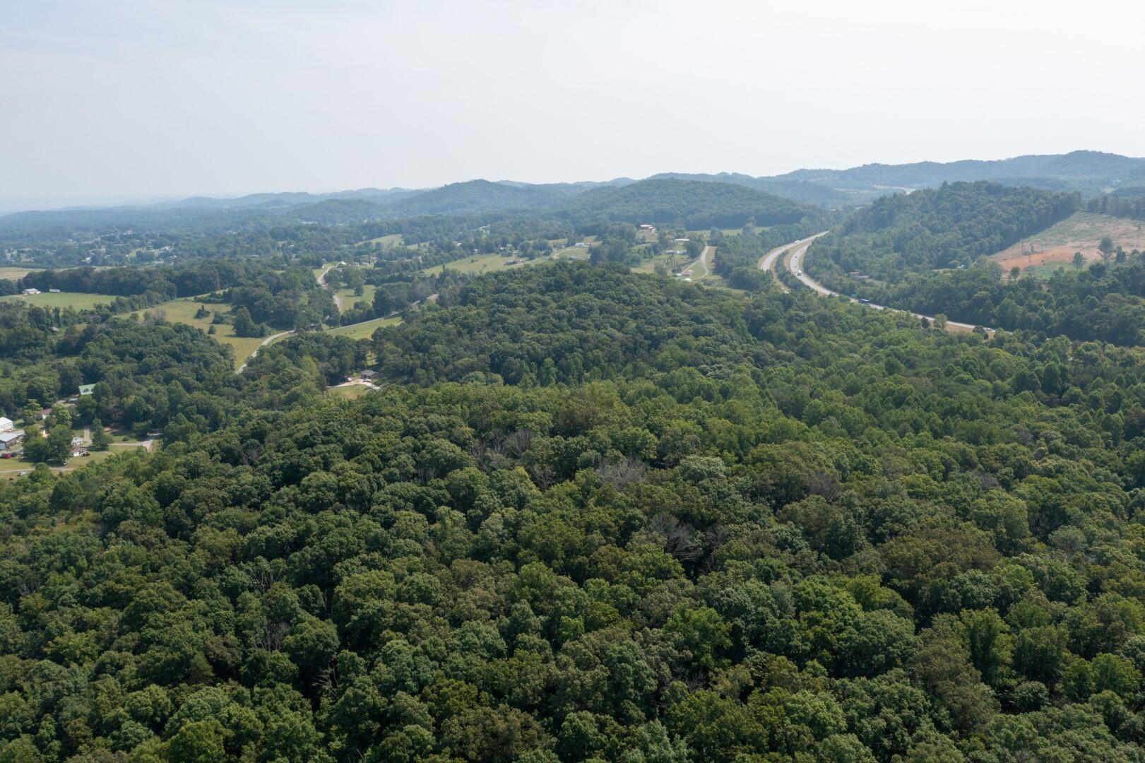 890 Moody Road Fall Branch, TN 37656 - Photo 70 of 89 Moody-68