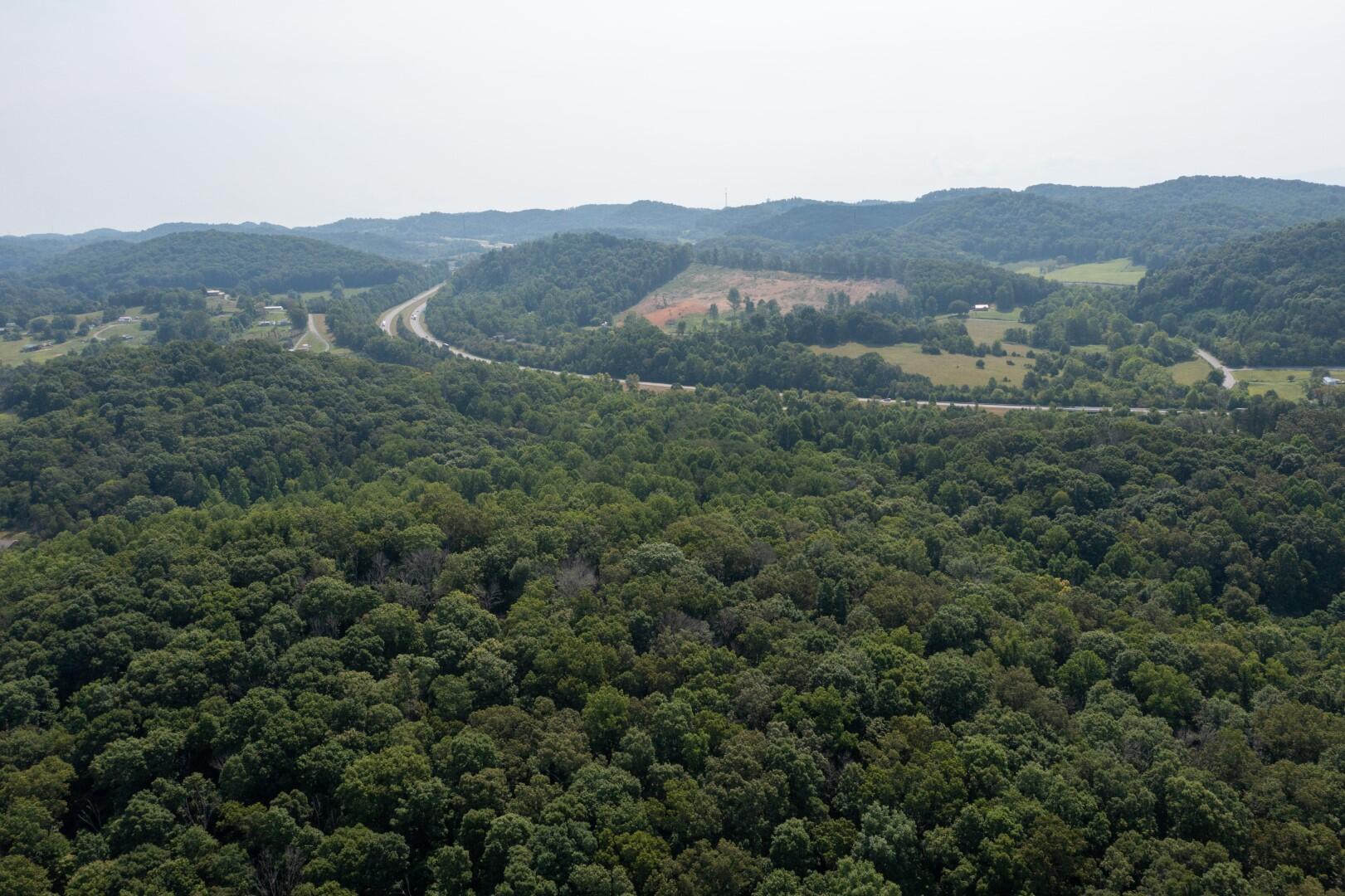 890 Moody Road Fall Branch, TN 37656 - Photo 71 of 89 Moody-69