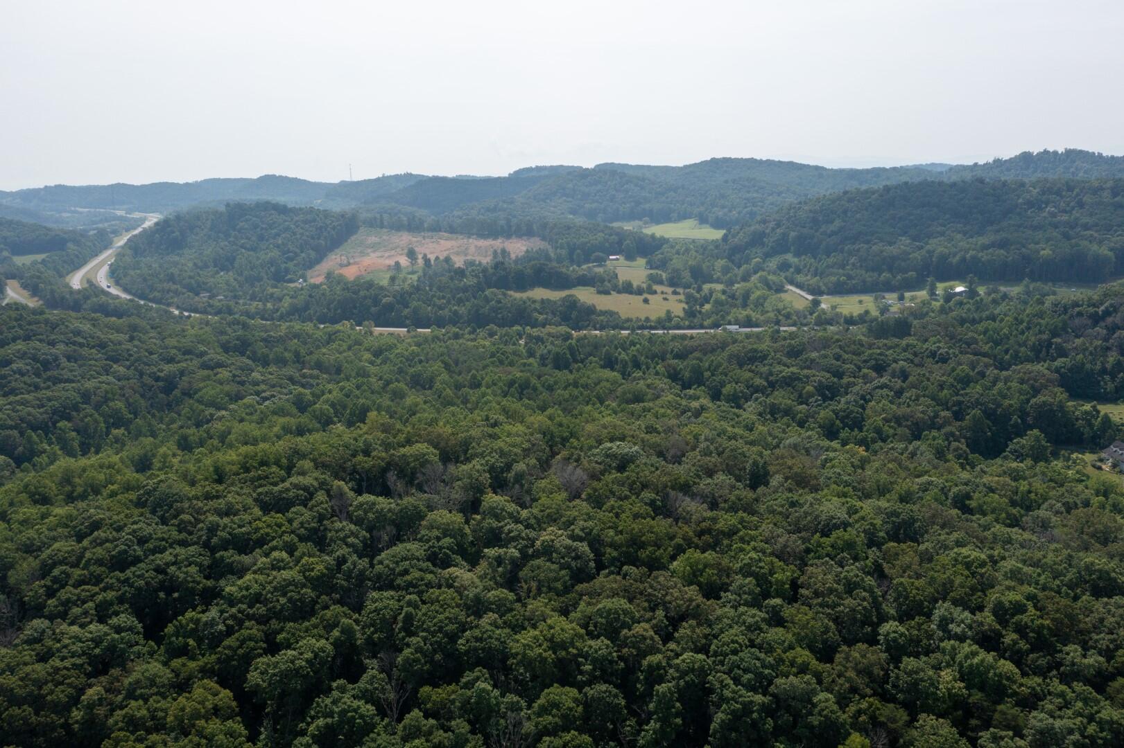 890 Moody Road Fall Branch, TN 37656 - Photo 72 of 89 Moody-70