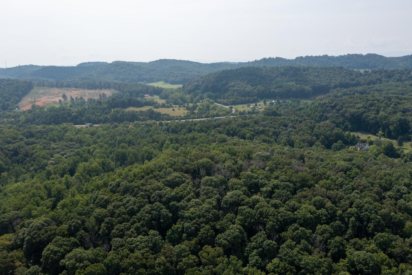 890 Moody Road Fall Branch, TN 37656 - Photo 73 of 89 Moody-71
