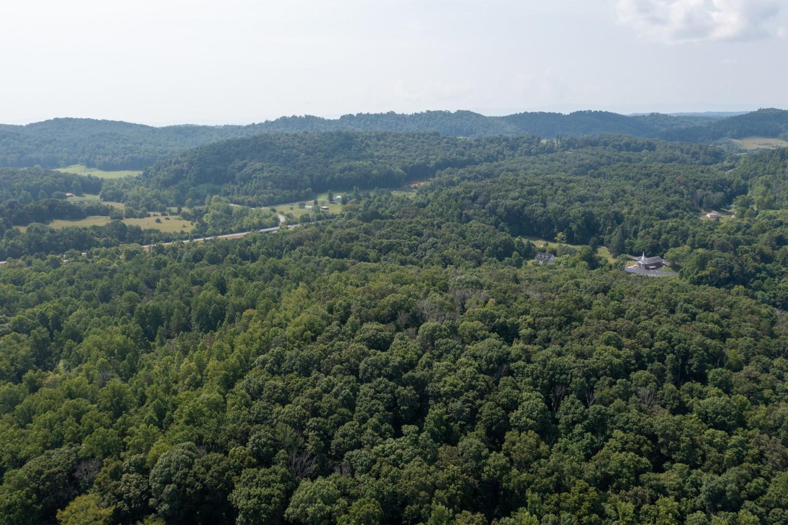 890 Moody Road Fall Branch, TN 37656 - Photo 74 of 89 Moody-72
