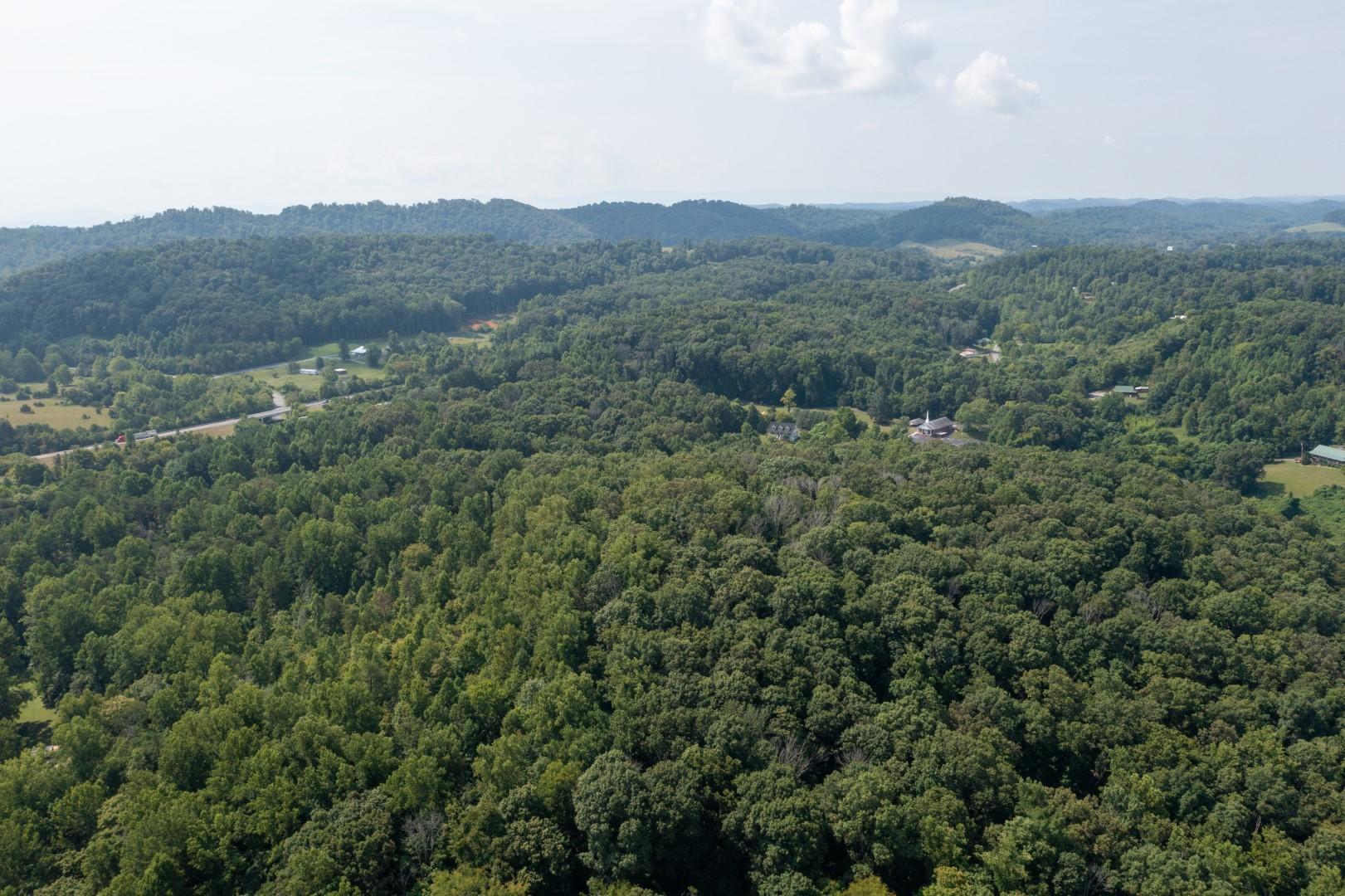 890 Moody Road Fall Branch, TN 37656 - Photo 75 of 89 Moody-73