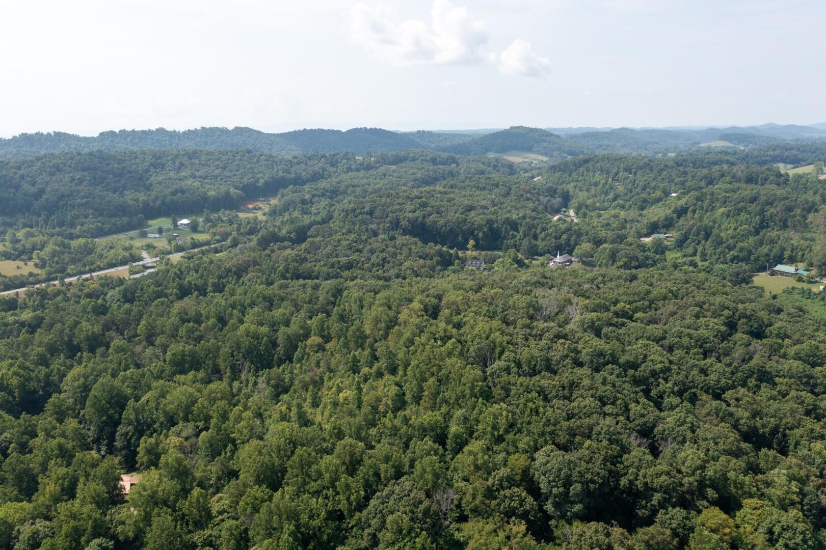 890 Moody Road Fall Branch, TN 37656 - Photo 76 of 89 Moody-74