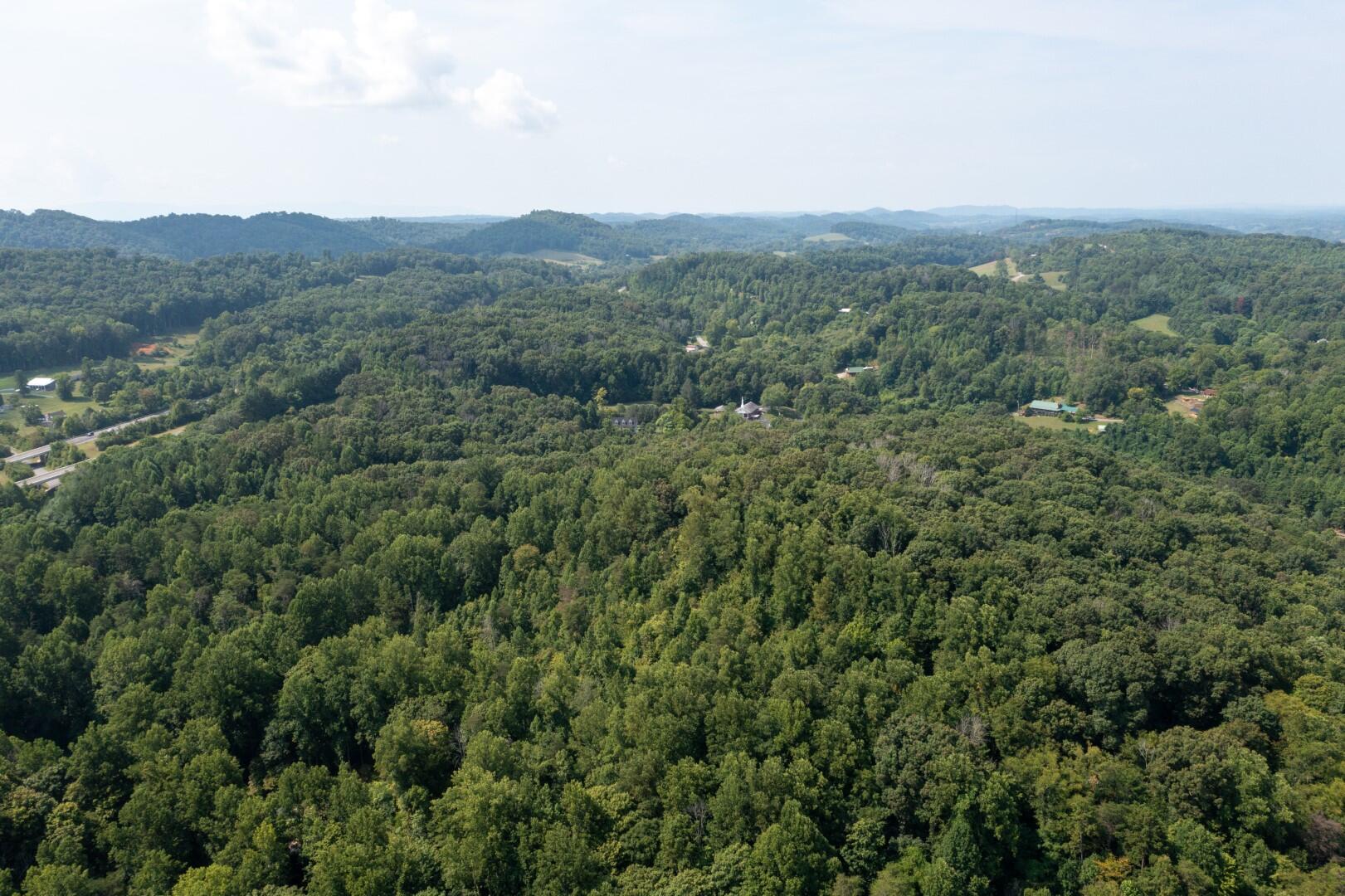 890 Moody Road Fall Branch, TN 37656 - Photo 77 of 89 Moody-75