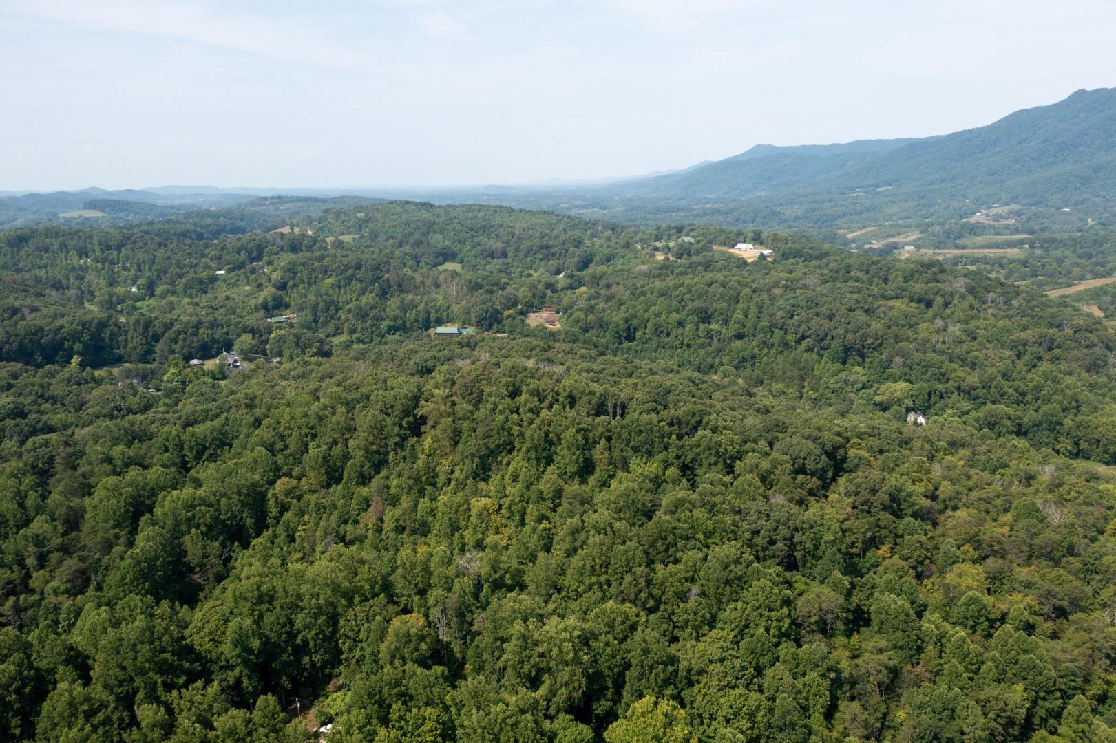 890 Moody Road Fall Branch, TN 37656 - Photo 78 of 89 Moody-76