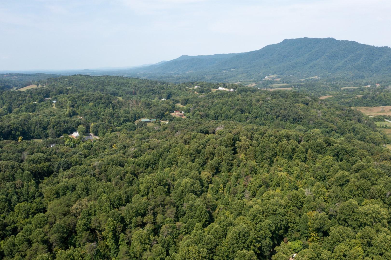890 Moody Road Fall Branch, TN 37656 - Photo 79 of 89 Moody-77