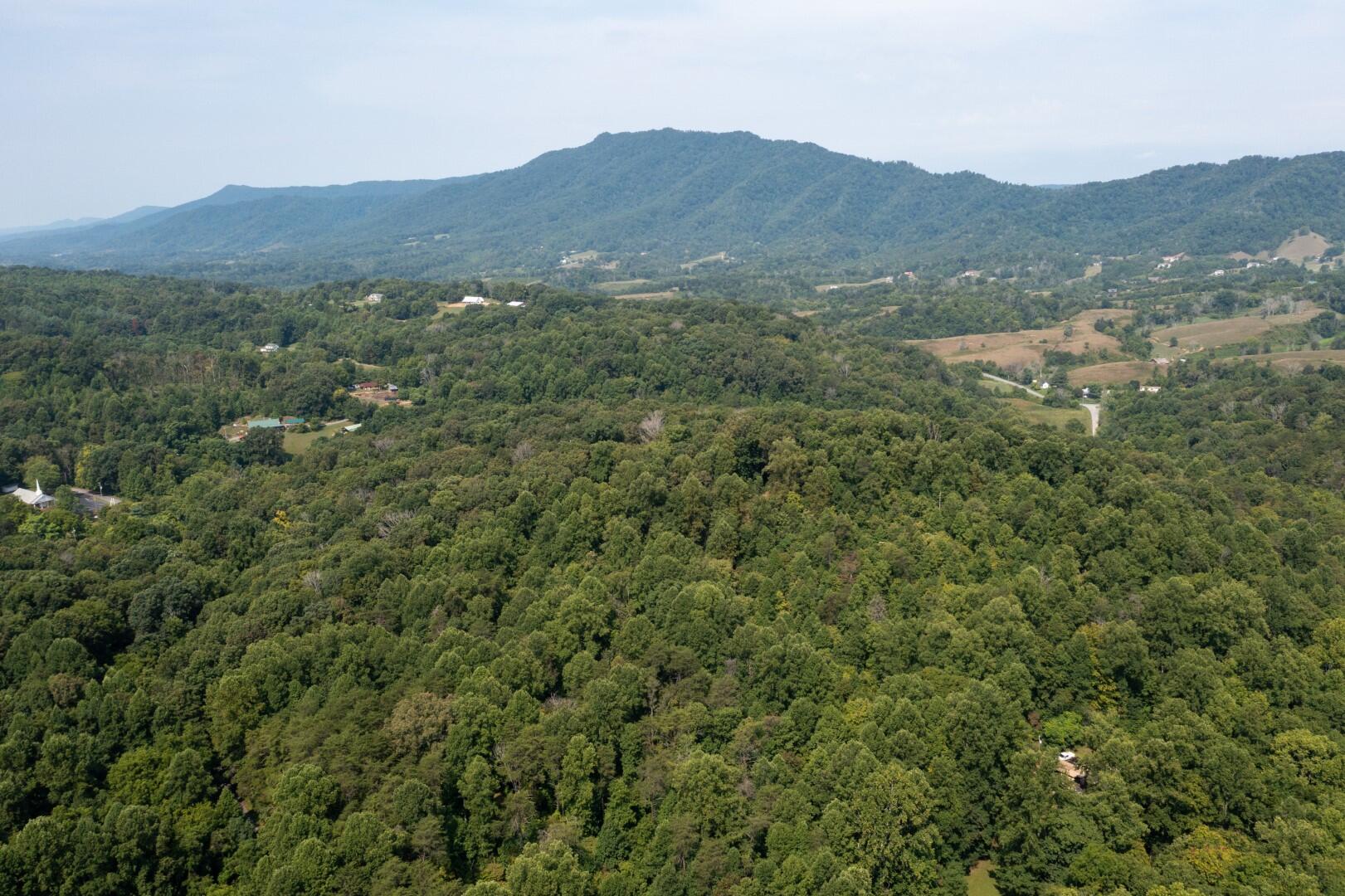 890 Moody Road Fall Branch, TN 37656 - Photo 80 of 89 Moody-78