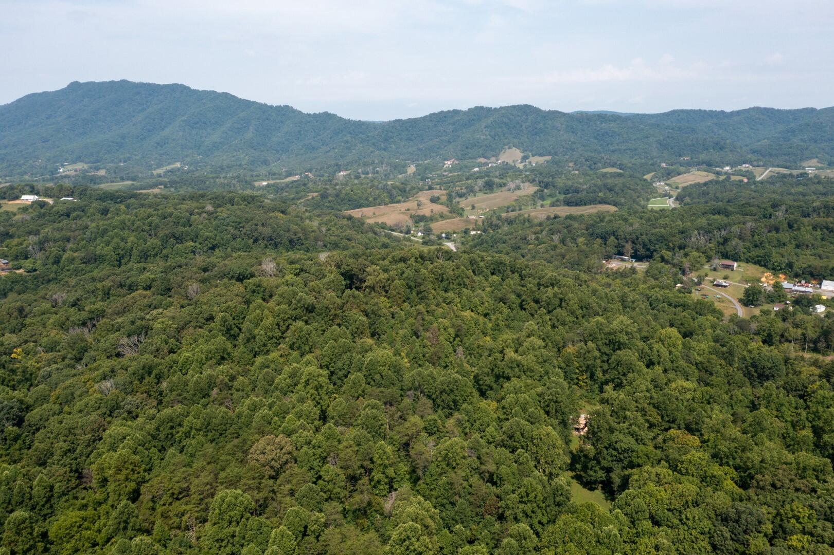 890 Moody Road Fall Branch, TN 37656 - Photo 81 of 89 Moody-79