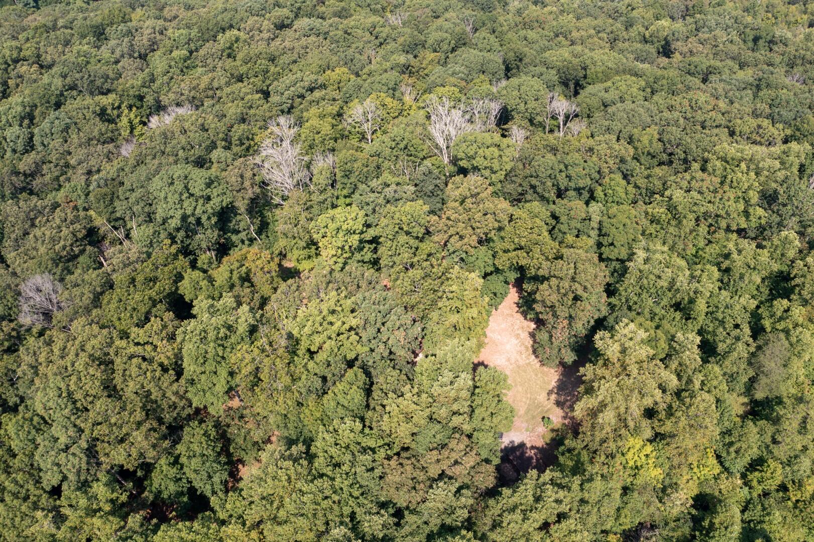 890 Moody Road Fall Branch, TN 37656 - Photo 82 of 89 Moody-80