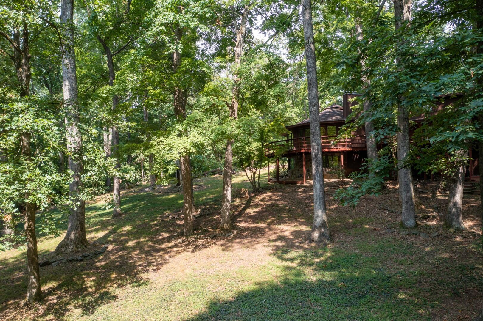 890 Moody Road Fall Branch, TN 37656 - Photo 85 of 89 Moody-83