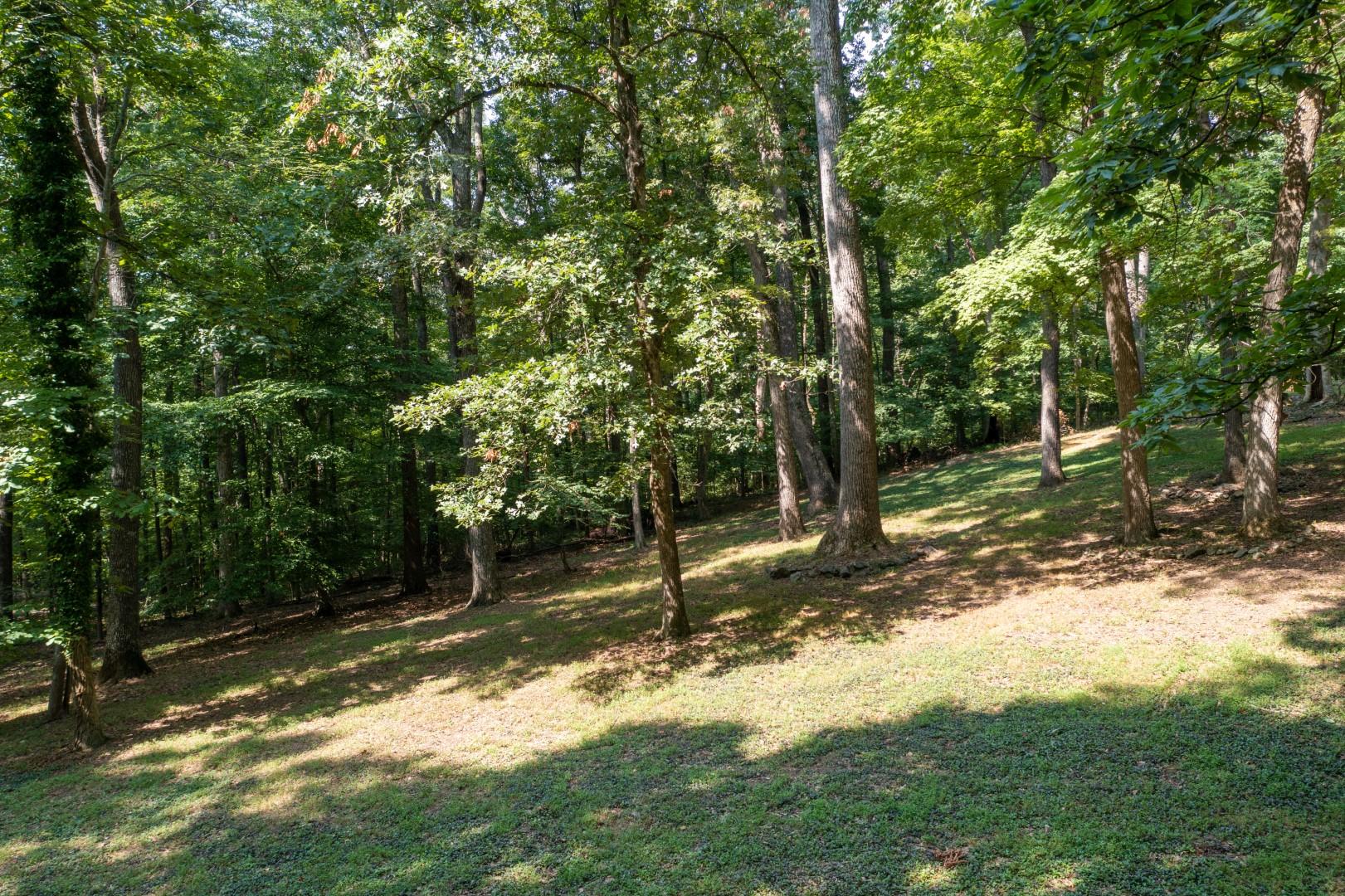 890 Moody Road Fall Branch, TN 37656 - Photo 86 of 89 Moody-84
