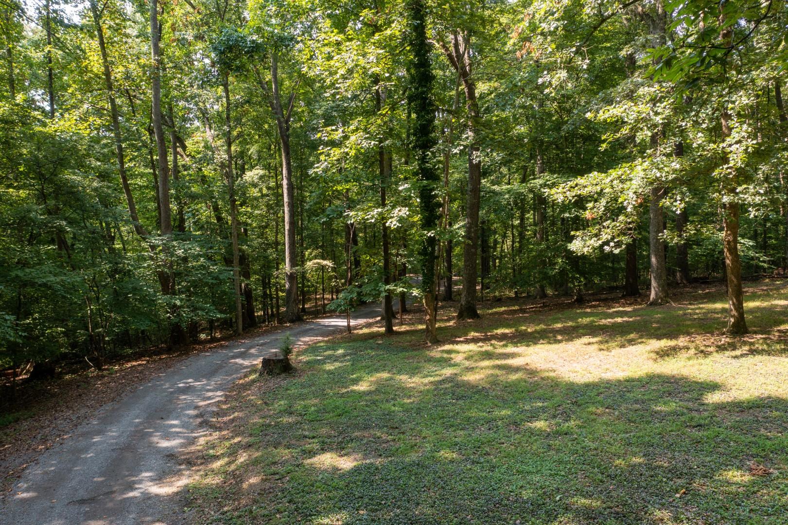 890 Moody Road Fall Branch, TN 37656 - Photo 87 of 89 Moody-85
