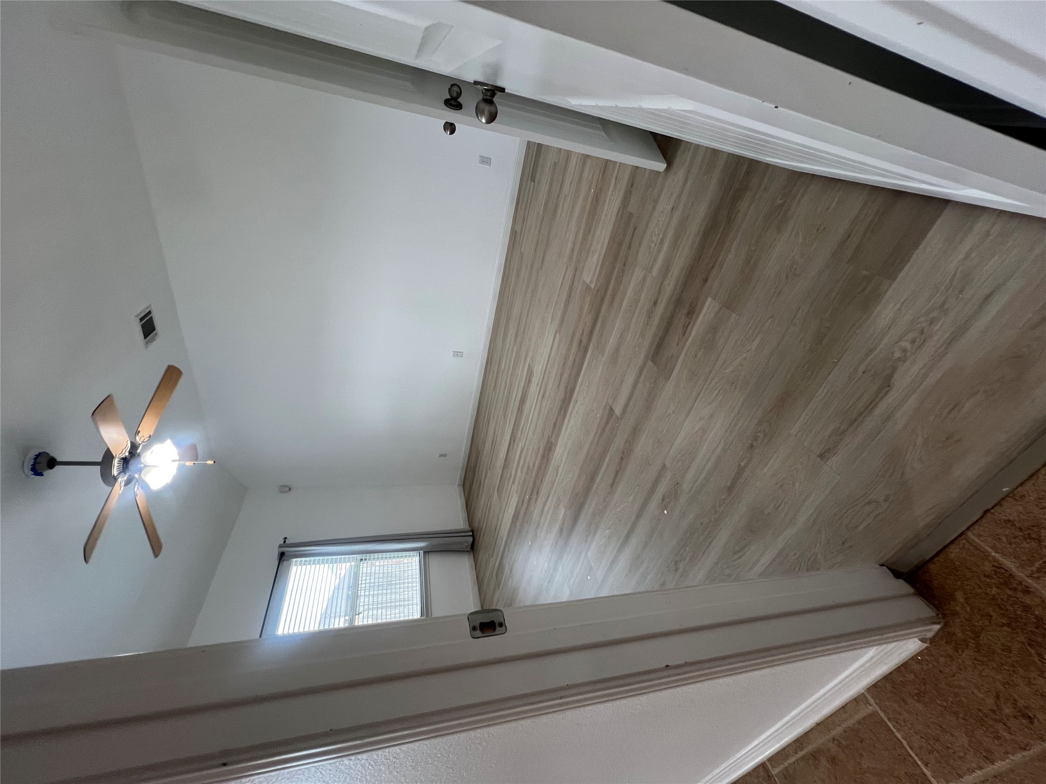 1508 Daylily Loop Georgetown, TX 78626 - Photo 11 of 26