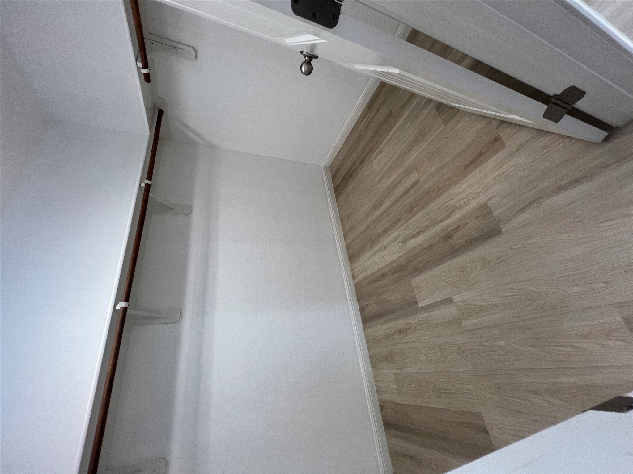 1508 Daylily Loop Georgetown, TX 78626 - Photo 15 of 26