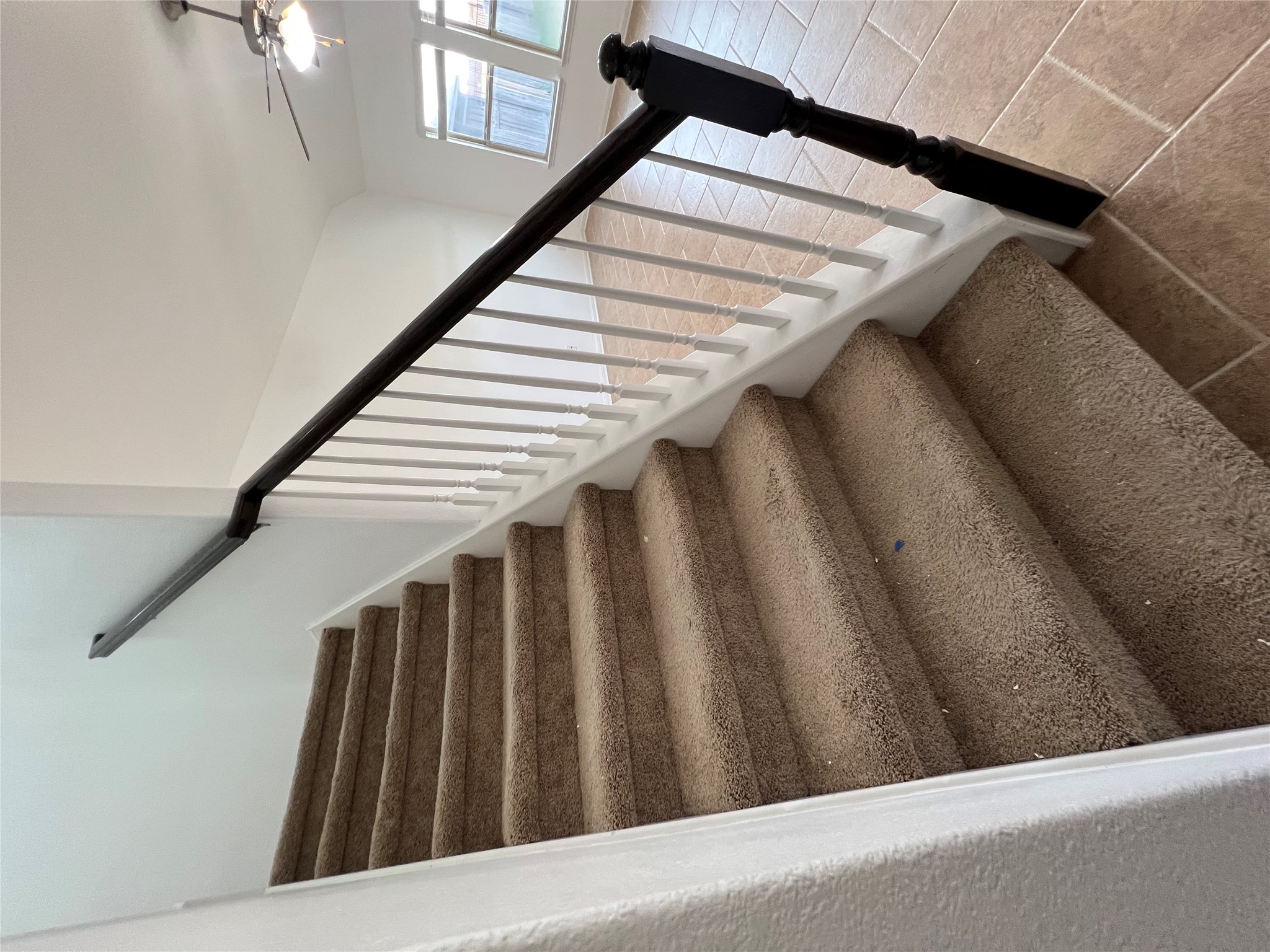 1508 Daylily Loop Georgetown, TX 78626 - Photo 16 of 26