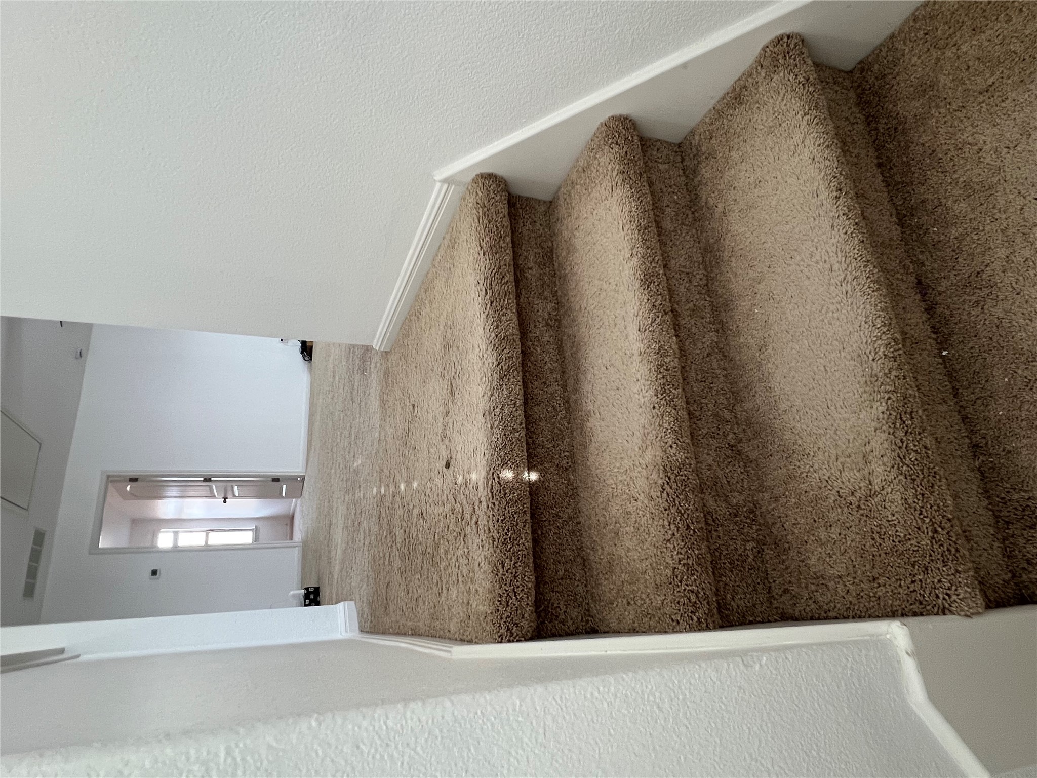 1508 Daylily Loop Georgetown, TX 78626 - Photo 17 of 26