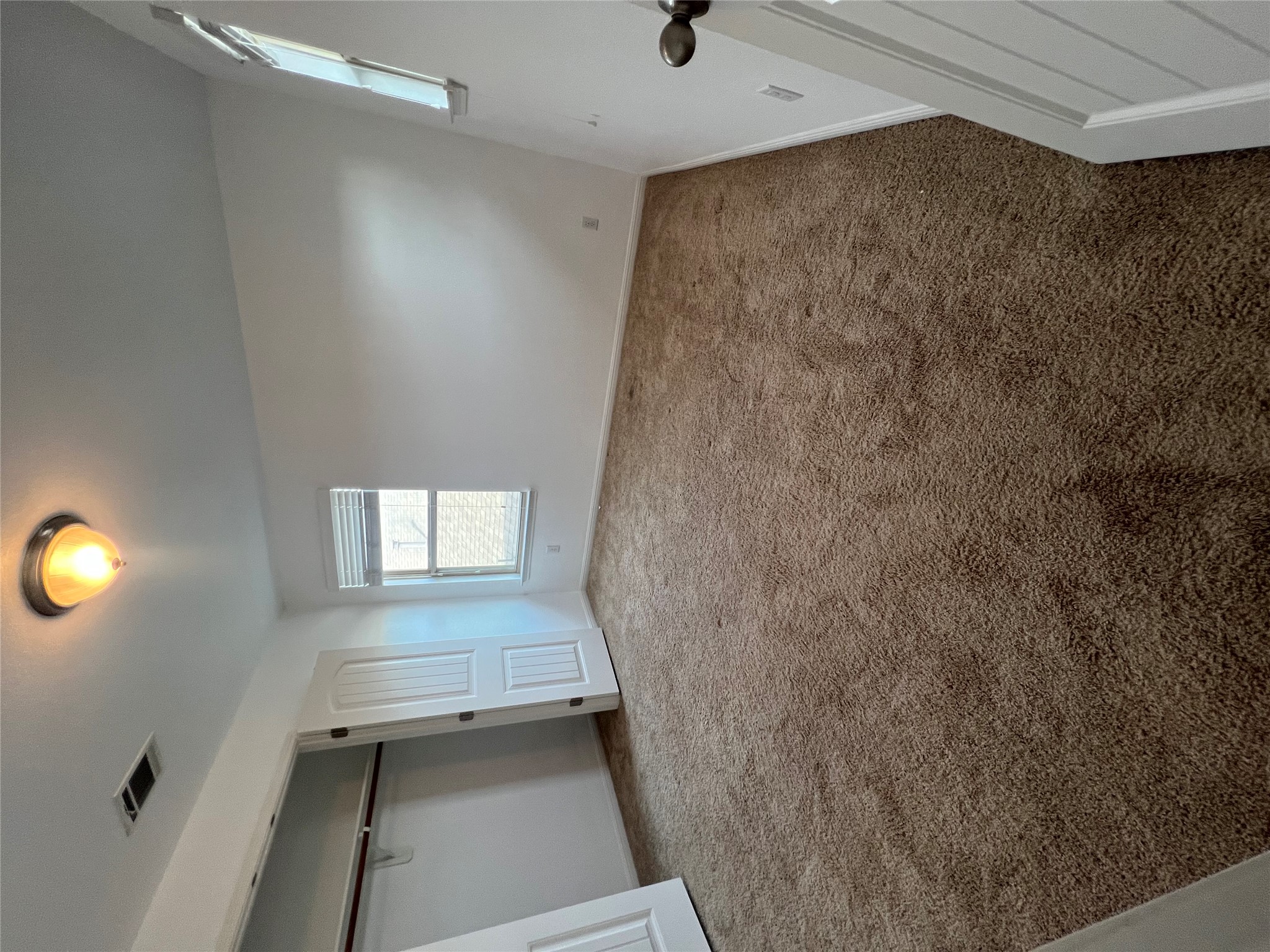 1508 Daylily Loop Georgetown, TX 78626 - Photo 20 of 26