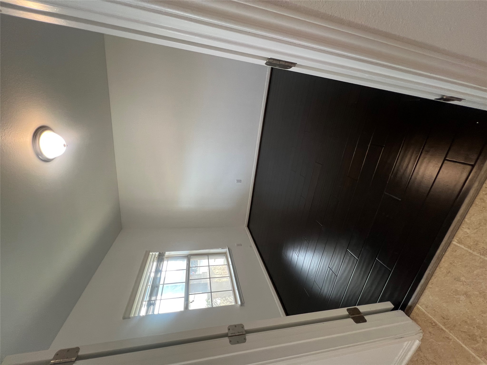 1508 Daylily Loop Georgetown, TX 78626 - Photo 3 of 26