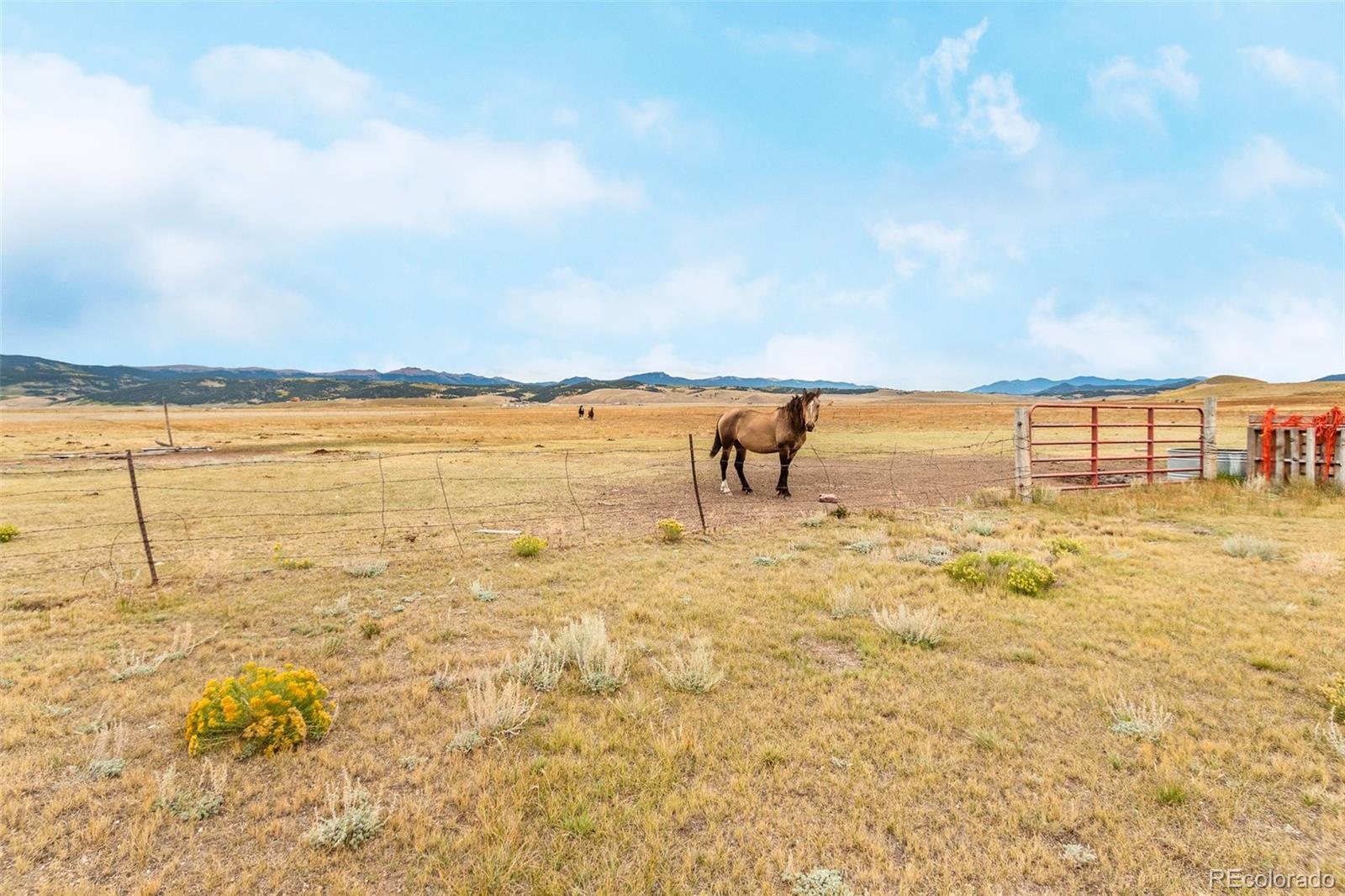 70 Litmer Road Jefferson, CO 80456 - Photo 3 of 42 Gallery Image 3