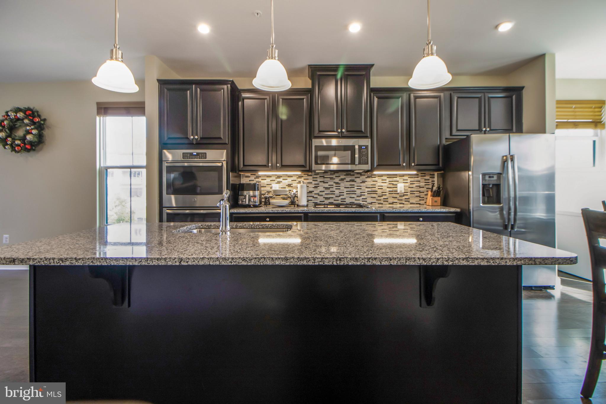 22166 Maple Tree Terrace Ashburn, VA 20148 - Photo 17 of 52