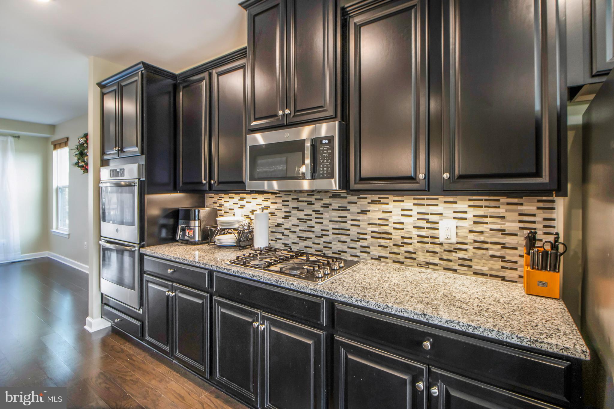 22166 Maple Tree Terrace Ashburn, VA 20148 - Photo 18 of 52