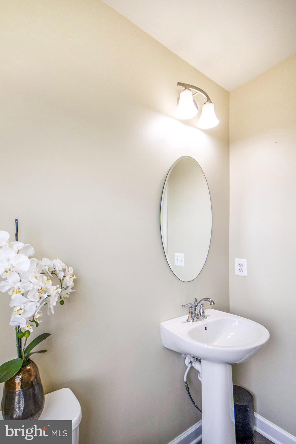 22166 Maple Tree Terrace Ashburn, VA 20148 - Photo 26 of 52