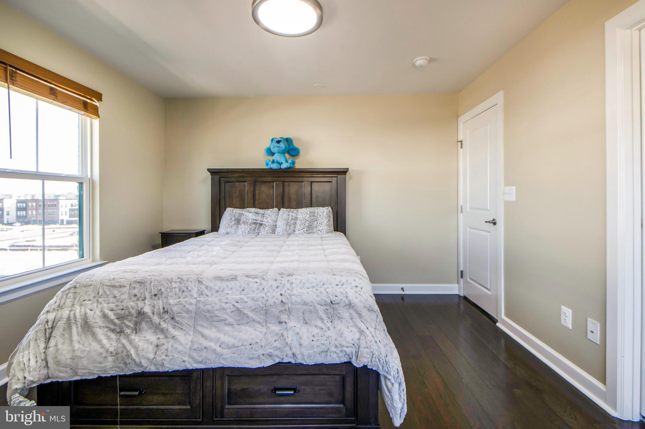 22166 Maple Tree Terrace Ashburn, VA 20148 - Photo 41 of 52