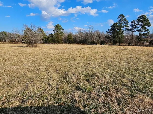 $260,000 | 31947 Highway 60, Ellsinore, MO 63937